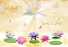 About Falun Dafa